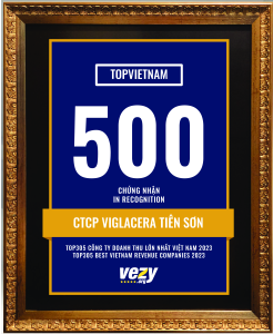 CTCP Viglacera Tiên Sơn (VIT)